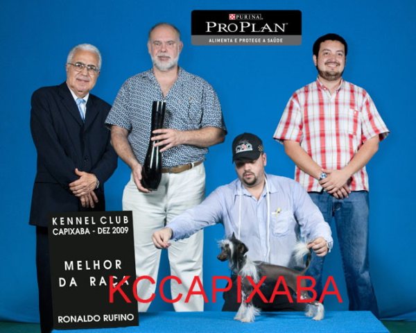 Clique sobre a foto para fechar